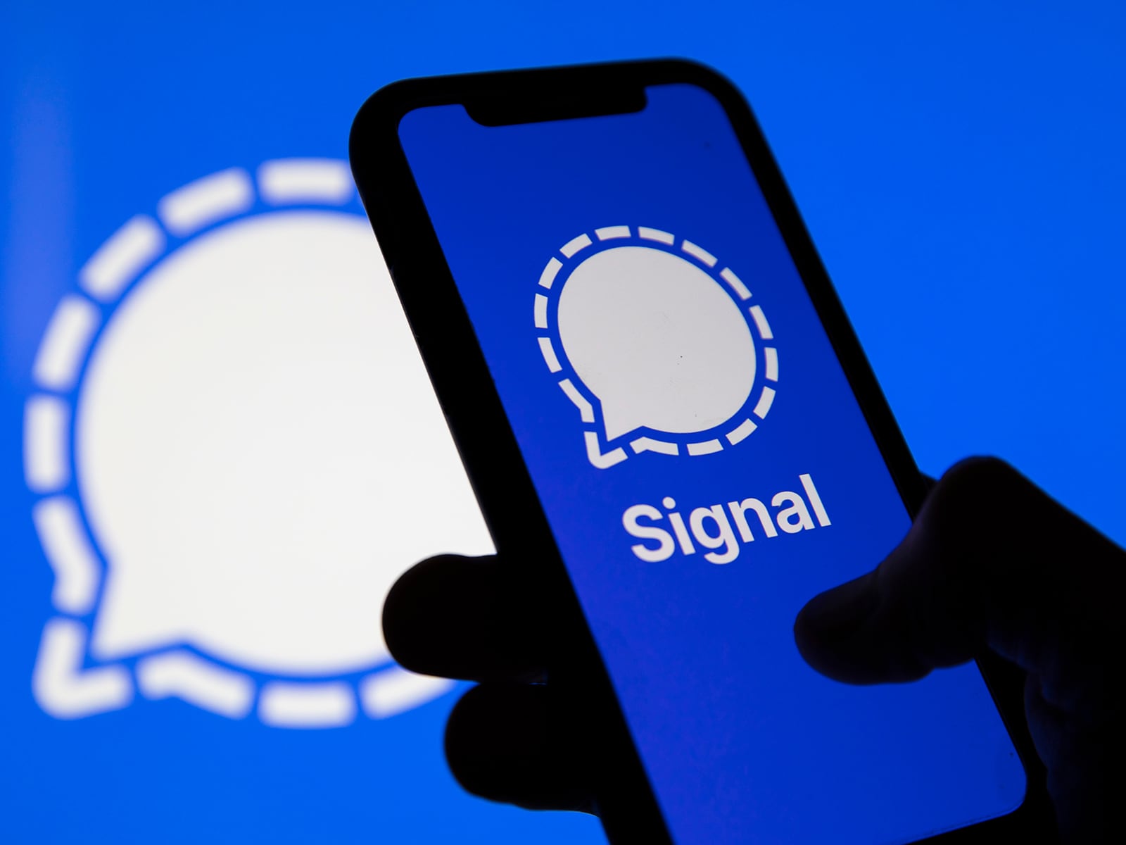 Signal常见问题, Signal免费, Signal注册, Signal备份